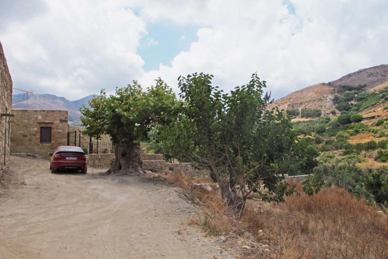 Petrakis Cretan Homes Kissamos Bagian luar foto