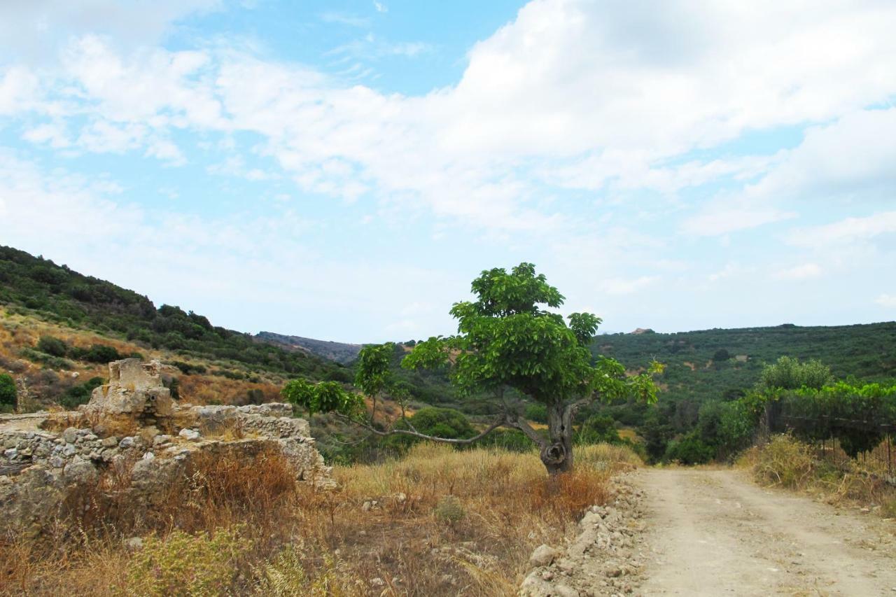 Petrakis Cretan Homes Kissamos Bagian luar foto