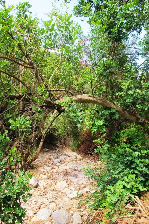 Petrakis Cretan Homes Kissamos Bagian luar foto