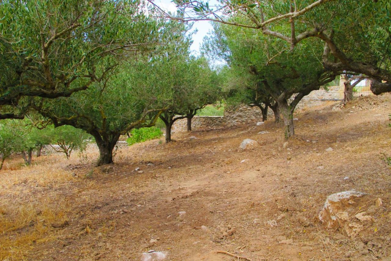 Petrakis Cretan Homes Kissamos Bagian luar foto