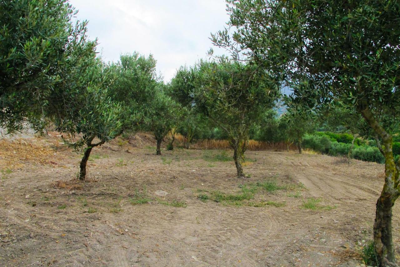 Petrakis Cretan Homes Kissamos Bagian luar foto