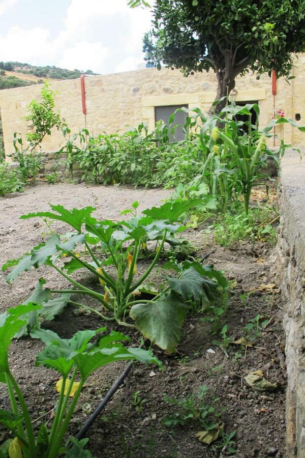 Petrakis Cretan Homes Kissamos Bagian luar foto