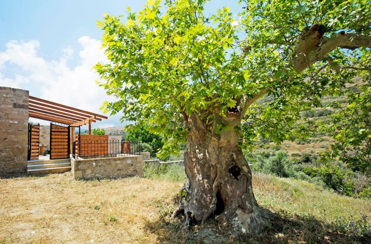Petrakis Cretan Homes Kissamos Bagian luar foto